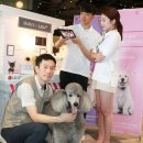 치료멍멍동물병원 이미지