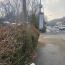 애견시대 | 광명 대형카페 빵집 명장시대 | 애견동반 강아지랑 방문후기 빵추천