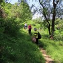 위례사랑길 이미지