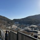 라라스테이B 이미지