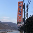 시탕뿌리 이미지