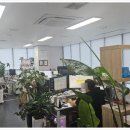 세무회계서원 - 영등포구 선유로49길 4 | 세무회계서원