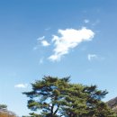 술 익는마을 이미지