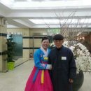 다경 Daum카페