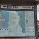 죽변항 이미지