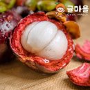 망고스틴