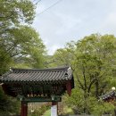 스테이.보성 | 보성 대원사 템플스테이 1박 2일 후기