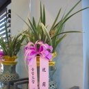 갈매 검도관 이미지