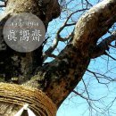 사초리 당산제 및 갯제 | 24절기 우수(雨水), 봄비 내리는 꽃샘추위 초봄