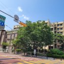 수명로 1길 이미지