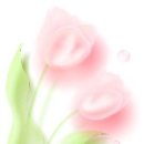 파스텔일러스트 이미지