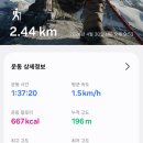 한양후레쉬 | 서울 야경 명소 인왕산 야간등산 후기 + 주차장 정보 (강아지 동반 산행)