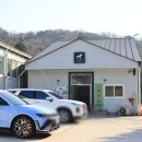 광주 양떼목장으로 떠난 봄 피크닉 송산목장