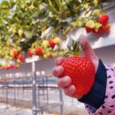 성자농장 이미지