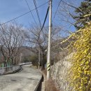 두레박아구찜 이미지