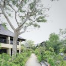 제트커뮤니케이션 | 🌴 사이판 아쿠아 리조트 추천 · 예약 · 할인 특가 총정리 | 사이판조아닷컴 프로모션 호텔 완벽 가이드