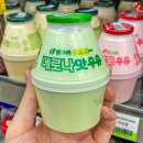 메로나가 우유 속으로 퐁당 [메로나맛 우유] 출시🍈🥛 이미지