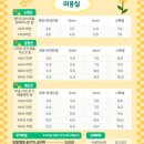 마조르댕 이미지