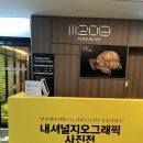 포크아트 | 내셔널지오그래픽 사진전 - 멸종에서 희망으로 내돈내산 관람후기: It&#39;s not too late