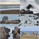 해파랑길 4코스 이미지