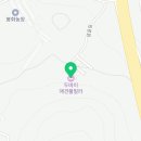 두바이애견풀빌라1 이미지