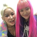 미란이네 이미지