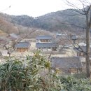 보삼로 Daum카페
