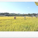 주식회사 내일날씨 이미지