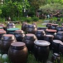 원이쌀밥 이미지