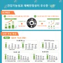 소만