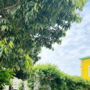 남원읍-41 이미지