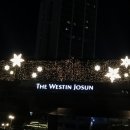 스시조 | 웨스틴 조선 서울 스시조 후기