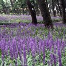 송림산업 이미지