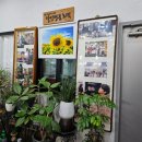 [전주 인후동 호떡 맛집]백종원3대천왕 출연한 유명한 달인명품호떡