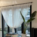 필라테스유화 | 성산읍헬스장 서귀포시 헬스 PT pt 피티 필라테스유화 가격 위치 주차 후기
