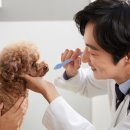 방배한강동물병원 이미지