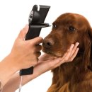 24시해든동물메디컬센터 이미지