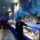 해양해물탕 이미지