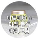 미트피아