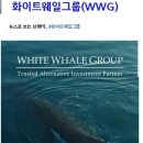 태양자동차 메디칼 이미지