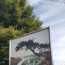 계룡산둘레길 이미지