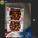 동건농장 이미지