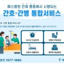 MEDI FLOWER 147 이미지