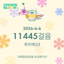 요나언니2 | 임신 26주차 일상기록 - 6월의 시작🌿
