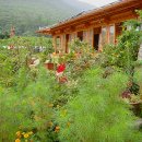 선아민박 이미지