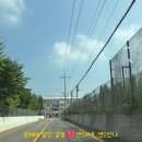 부곡초등학교 | 의왕 샌드아트 공연☆부곡초등학교 친구들과 함께!