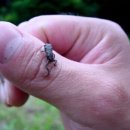 세종영재어린이집 이미지