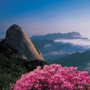 (주)예솔 이미지