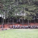 편백나무펜션2 이미지