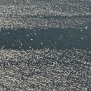 강남해안로 이미지